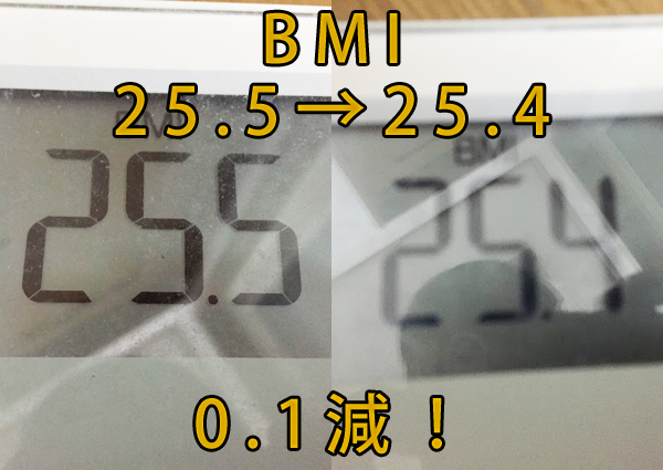 タダザップ・ダイエット１日目・BMIの変化